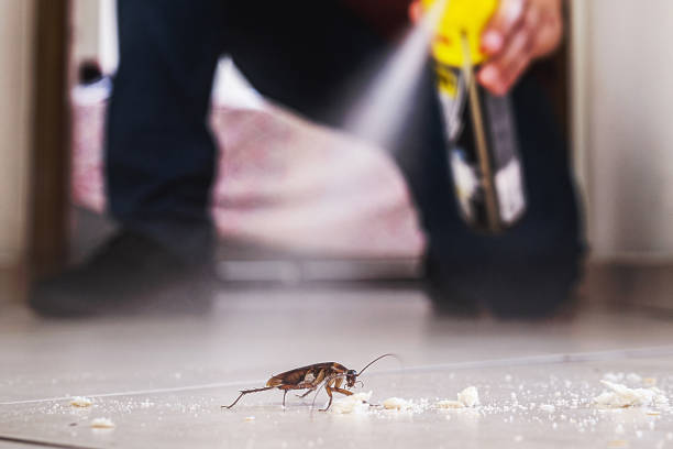 Best Pest Control for Businesses  in Bluffdale, UT